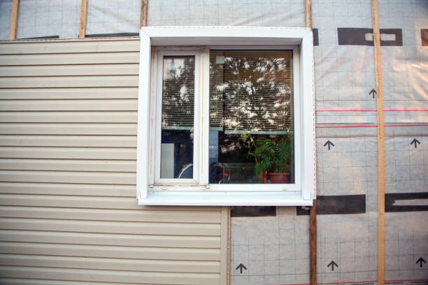 Best Steel Siding Installation  in Chelsea, MI