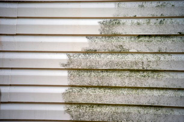 Siding for Commercial Buildings in Chelsea, MI