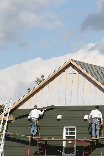 Best Residential Vinyl Siding Installation  in Chelsea, MI