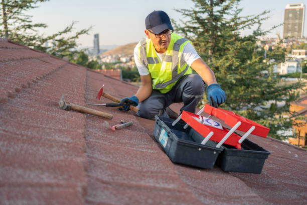 Best Stucco Siding  in Chelsea, MI